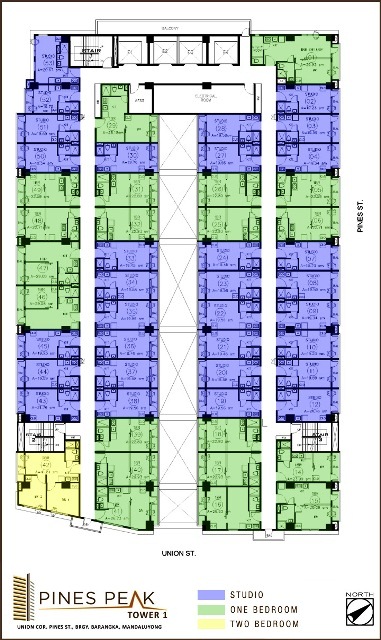 Pines Peak Condominium Union Cor Pines Streets Brgy Barangka Mandaluyong City Metro Manila Cityland Development Corporation Ready For Occupancy